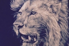 "The Lion of Judah" Revelation 5:5
